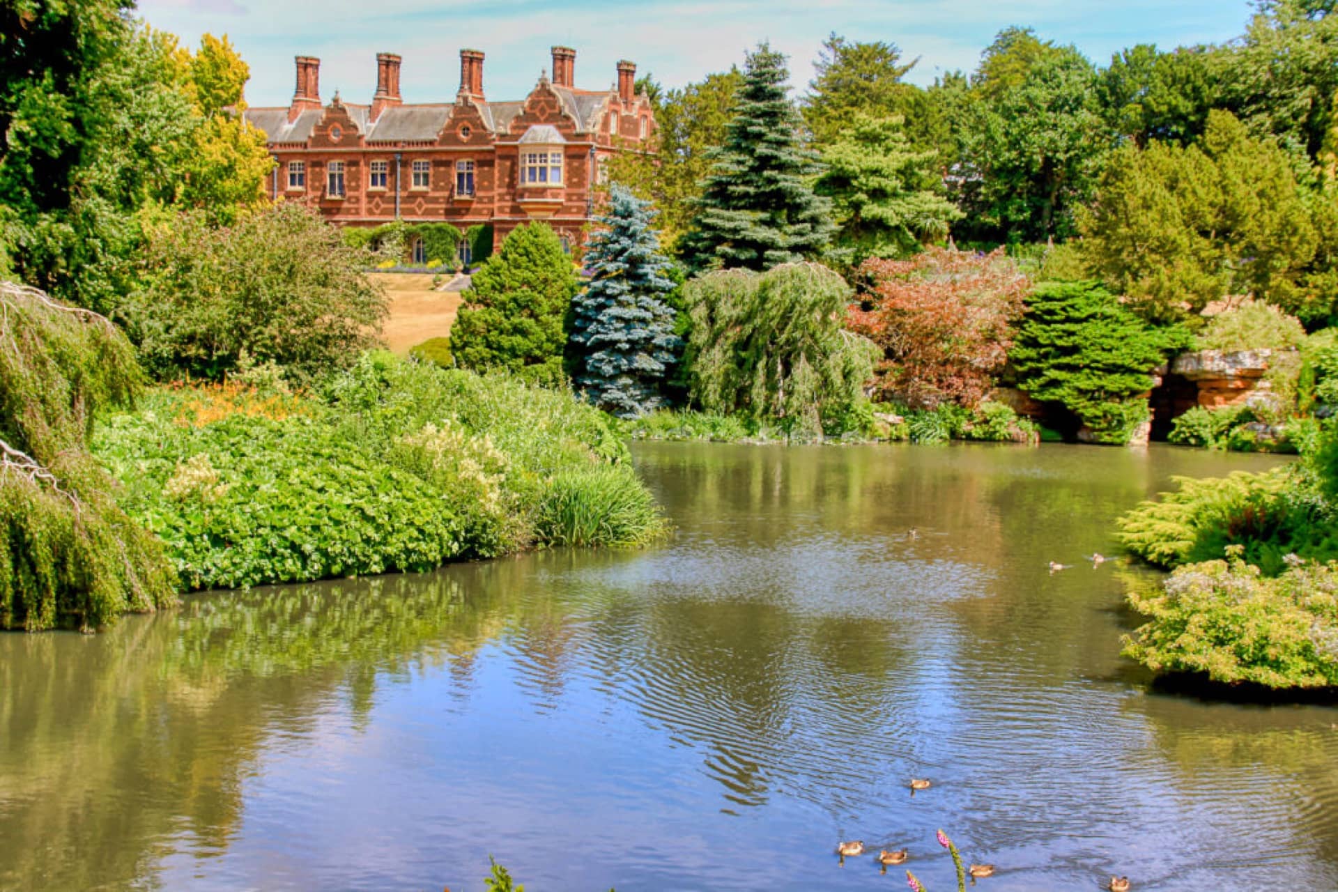 Lake with ducks surrounded by green bushes and trees with Sandringham house in the background on a sunny day