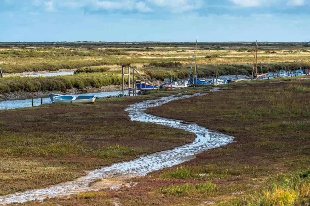 The Fairies and Hytersprites of Blakeney