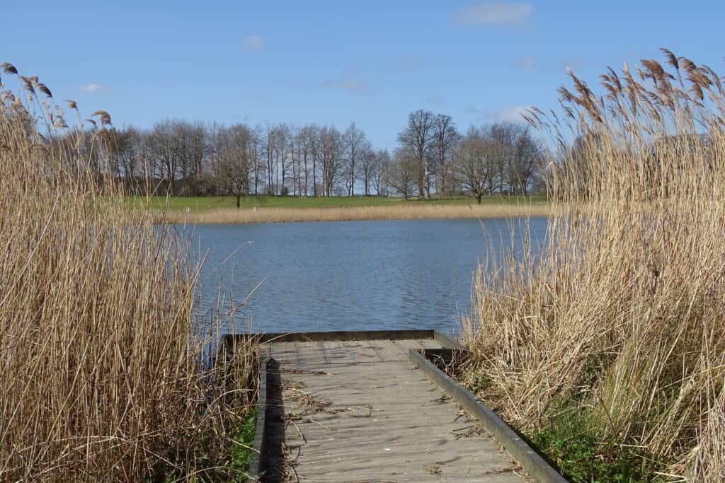 Pier at Blickling Hall lake in the sun