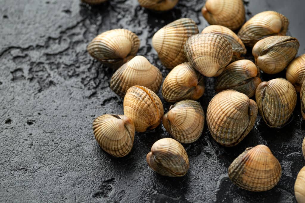 Fresh raw cocklers scattered on the right side of the image on a dark sandy background