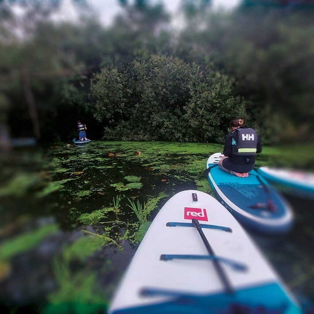 Winter Paddle Boarding Safari in the Broads National Park