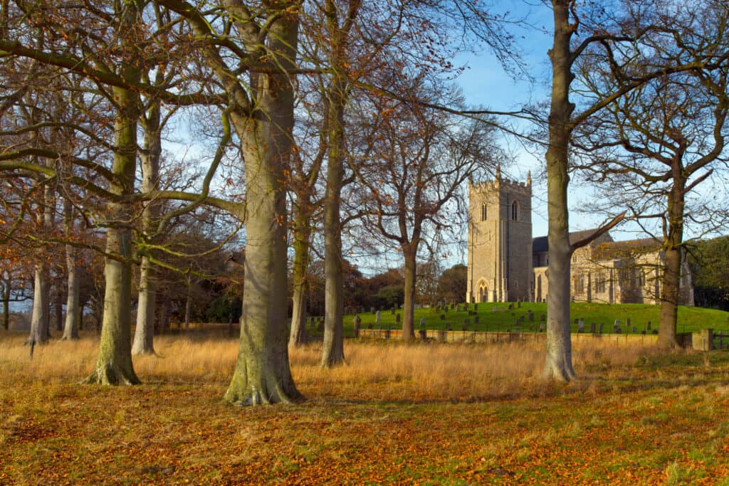 Holkham Park