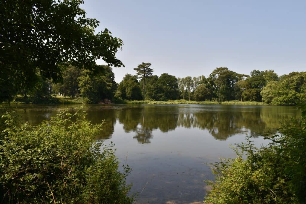 Trees reflecting on still lake at Holkham Park in summer