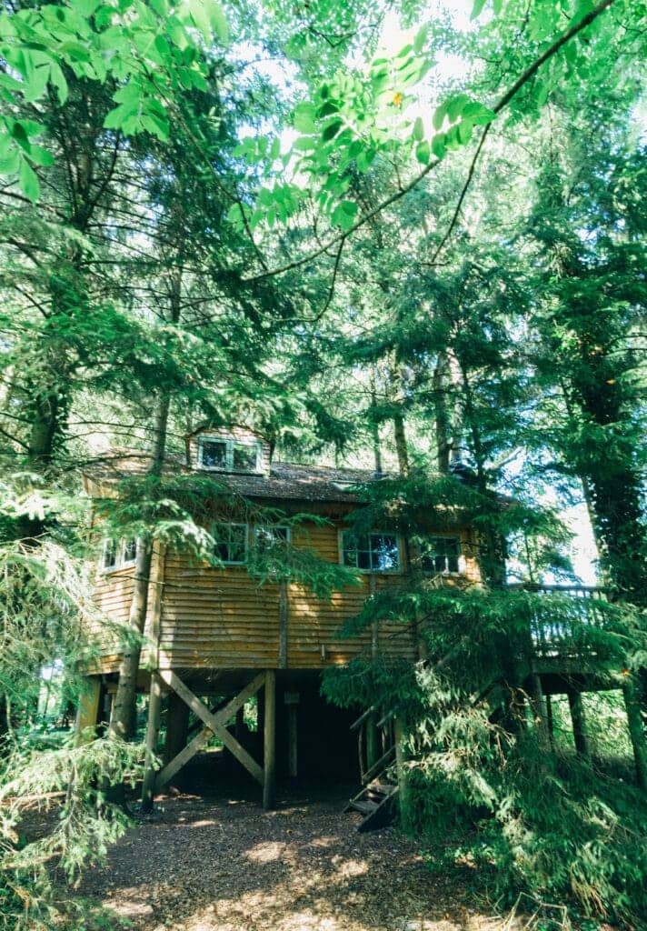 Stay in a Treehouse