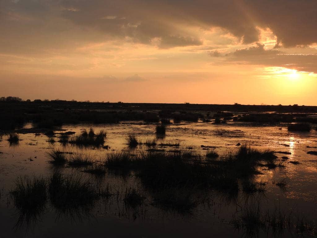 Dusk on the Marsh