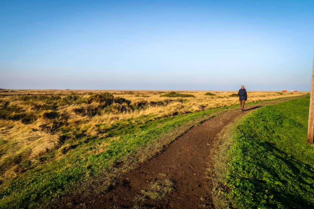 Salthouse Heath