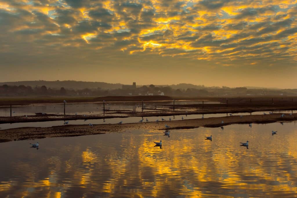 Church and reedbeds misty evening Salthouse marshes Norfolk