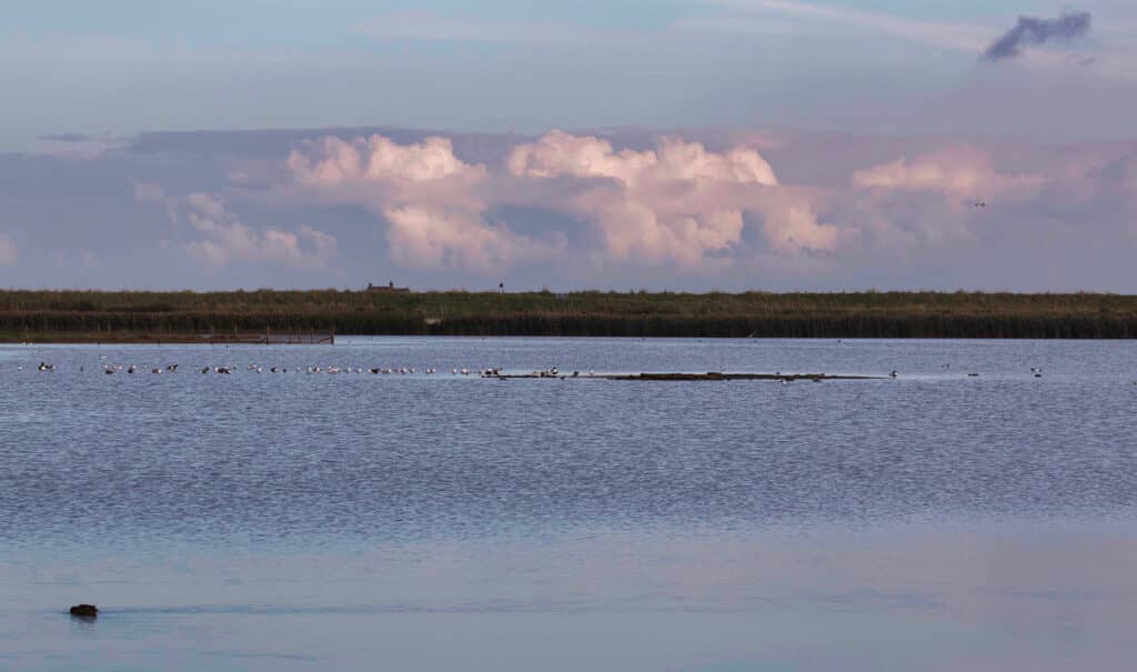 Inclusive Coastal Nature at RSPB Titchwell