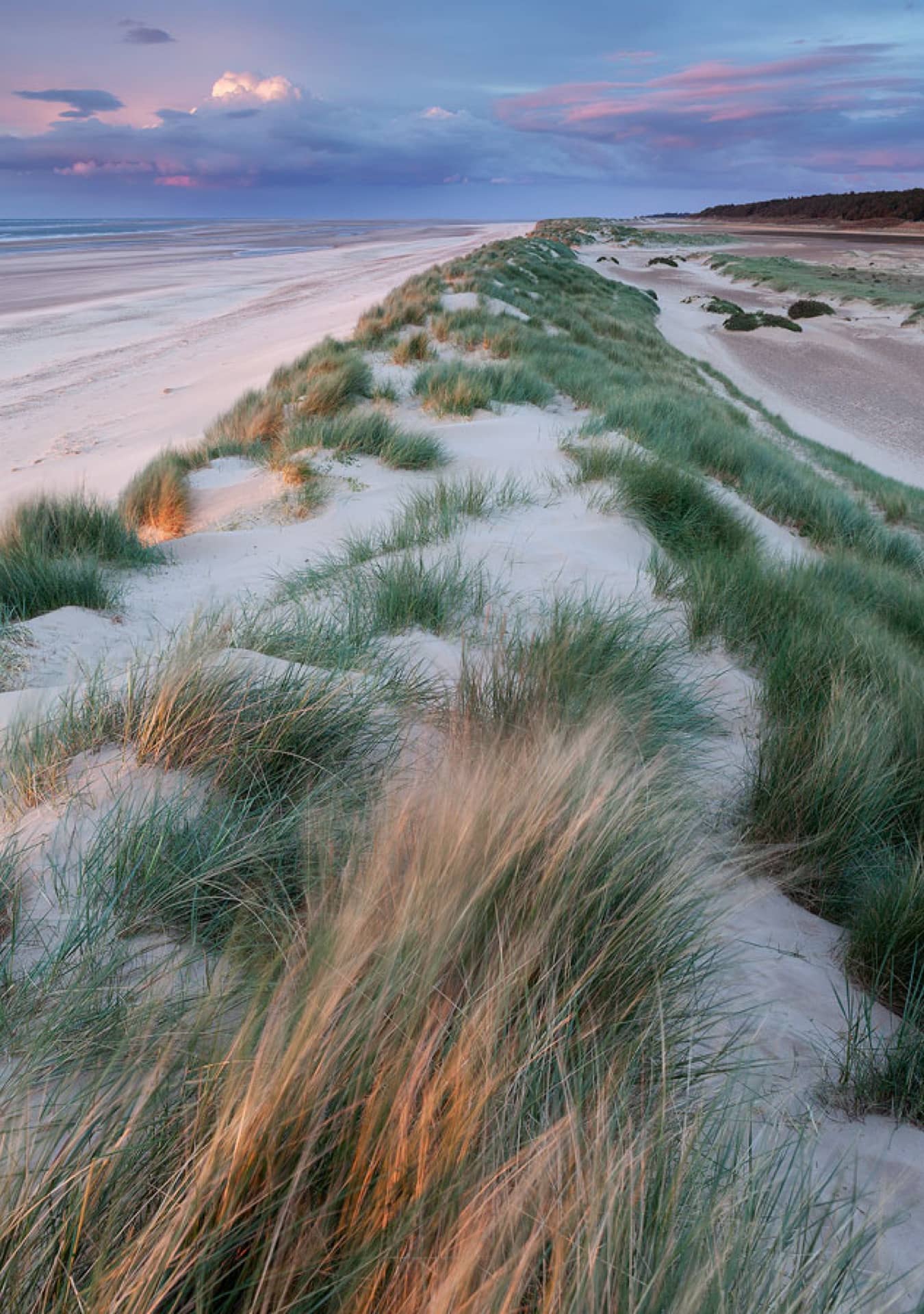 Norfolk Landscape Photography Workshops