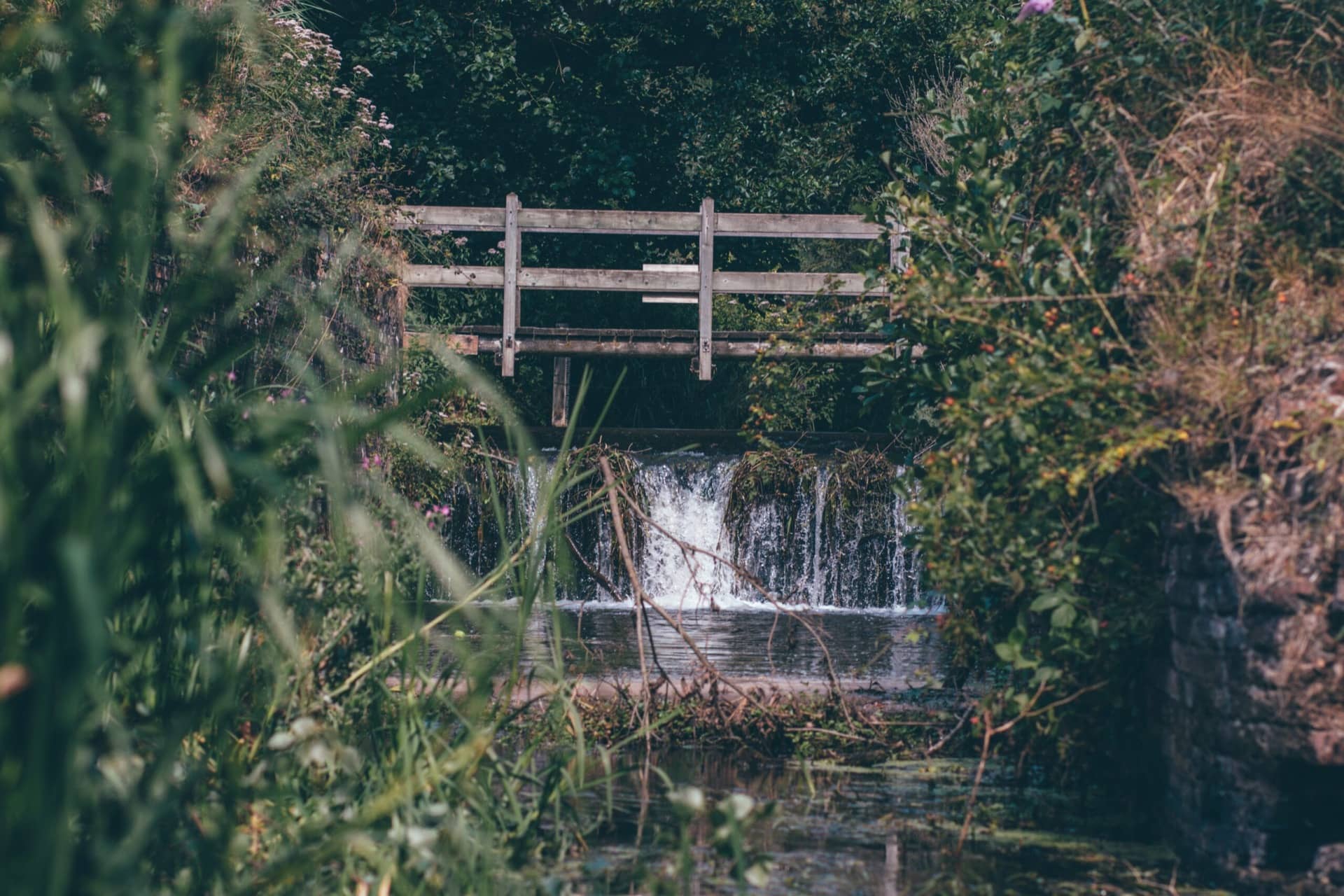 North Walsham And Dilham Canal - Be Norfolk