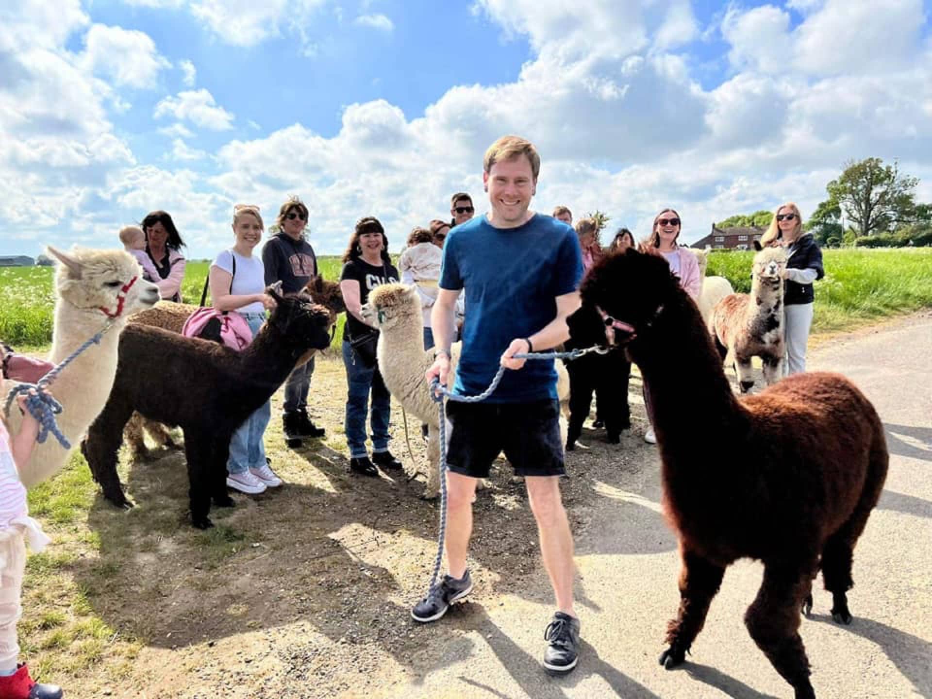 Alpaca Walk Experience