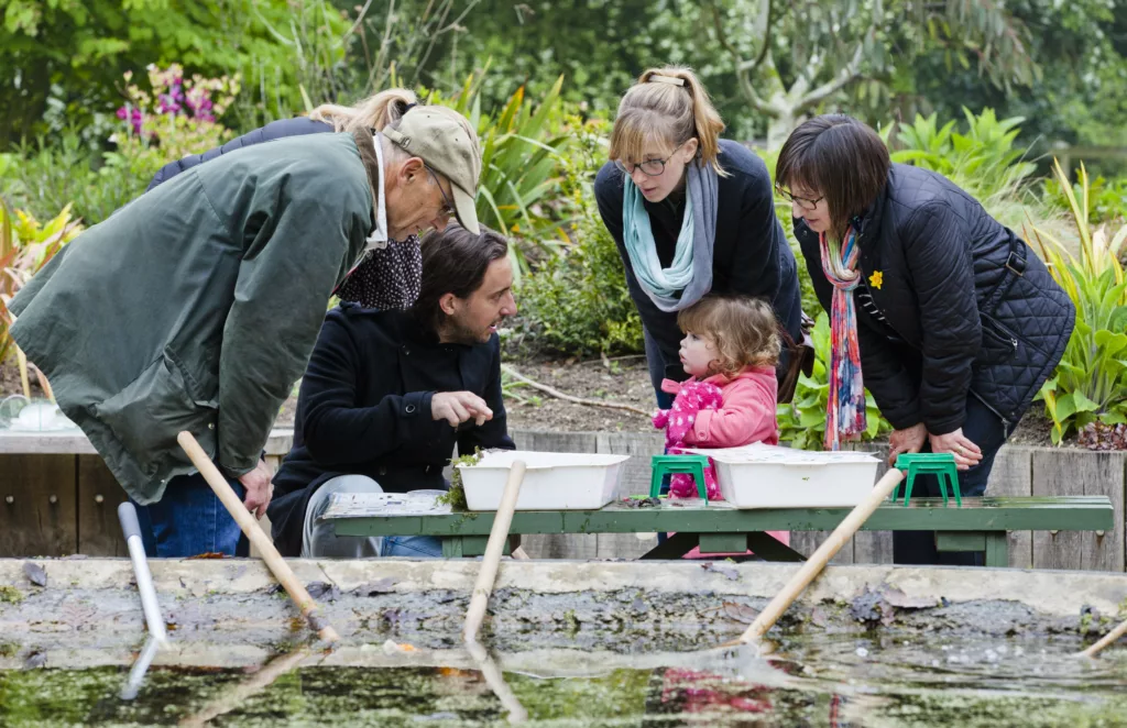 A group of visitors study the specimens that they have caught from the pond at Sheringham Park, Norfolk.
