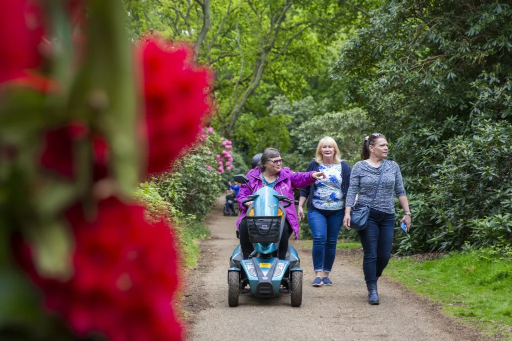 Sheringham Park: A Vision in a Red Leather Book