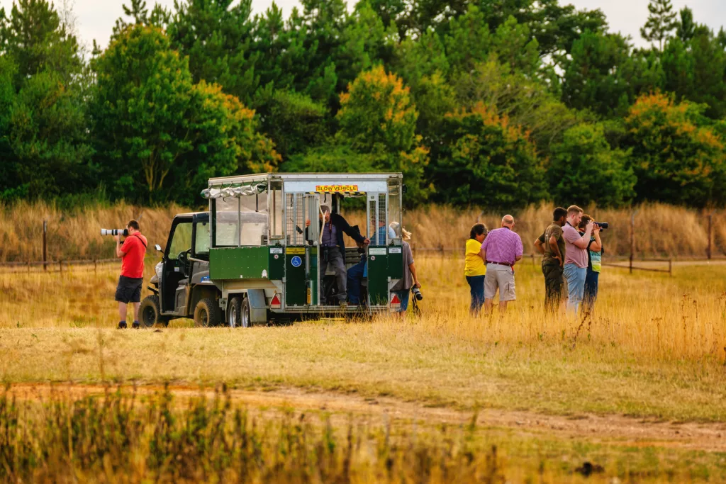 Watatunga Wildlife Reserve Photography Experience