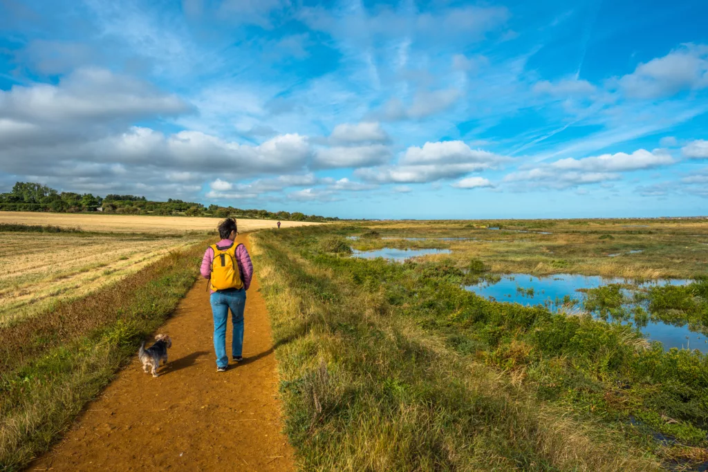 Longshore Walk