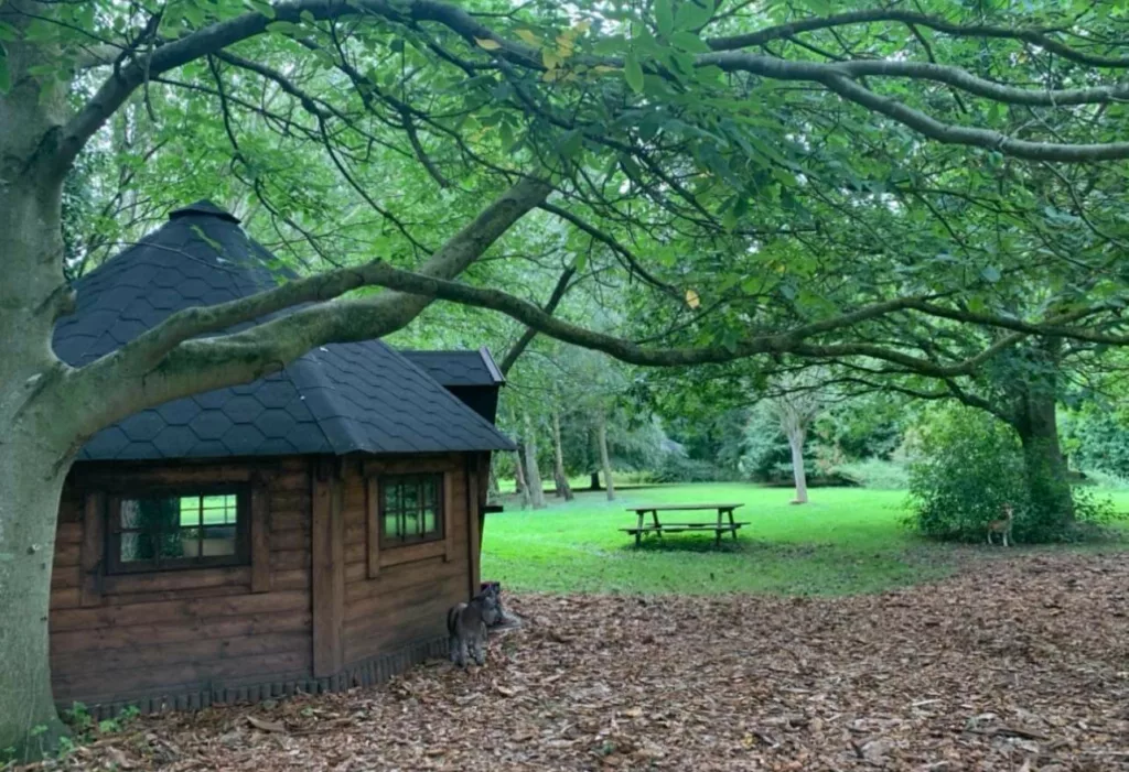 Tree Bathing and Therapies of Norfolk Calm