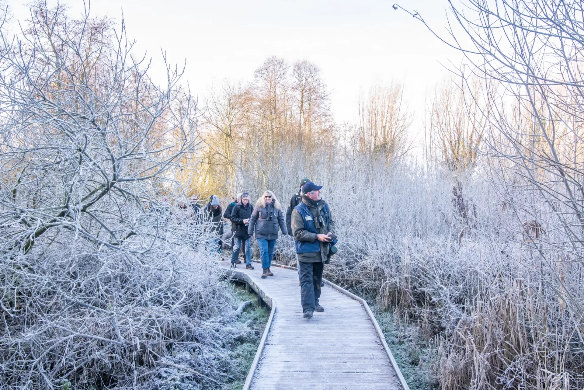 Group of people walking on the boardwalk at Titchwell Marsh