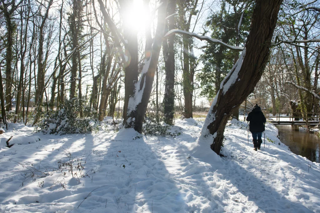 A woman walking between trees in snow