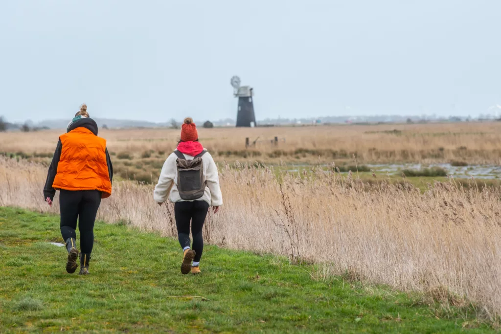 Two women walking on a grass footpath next to reeds with a windmill in the distance
