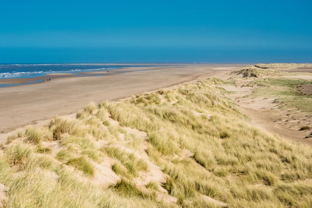 Sand dunes running along Holkham Bay beach and nature reserve on North Norfolk coast